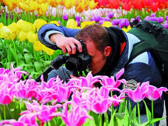 荷兰库肯霍夫 全球最美的花园