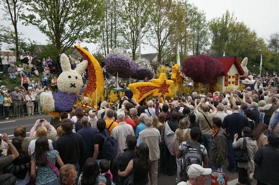 荷兰库肯霍夫 全球最美的花园