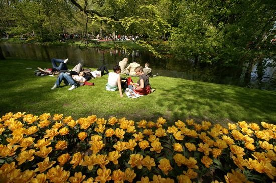 荷兰库肯霍夫 全球最美的花园