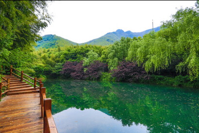 南山竹海入选江苏第一避暑胜地 天目湖跻身前十