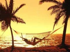 ռξ ռ̳ɫ̫ι ռξ Ѻ